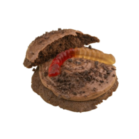 Chocolate Dirt Cookie